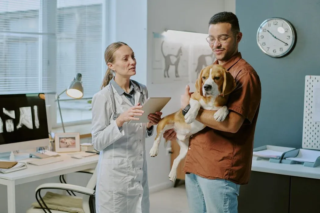 Veterinario atendiendo a un perro en consulta